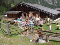 palfner_alm_60 