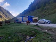 WhatsApp Image 2024-05-15 at 19.16.53(1)